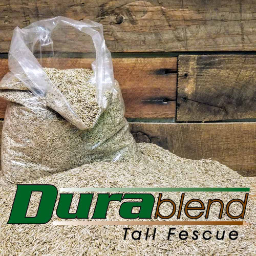 durablend tall fescue grass seed small bag