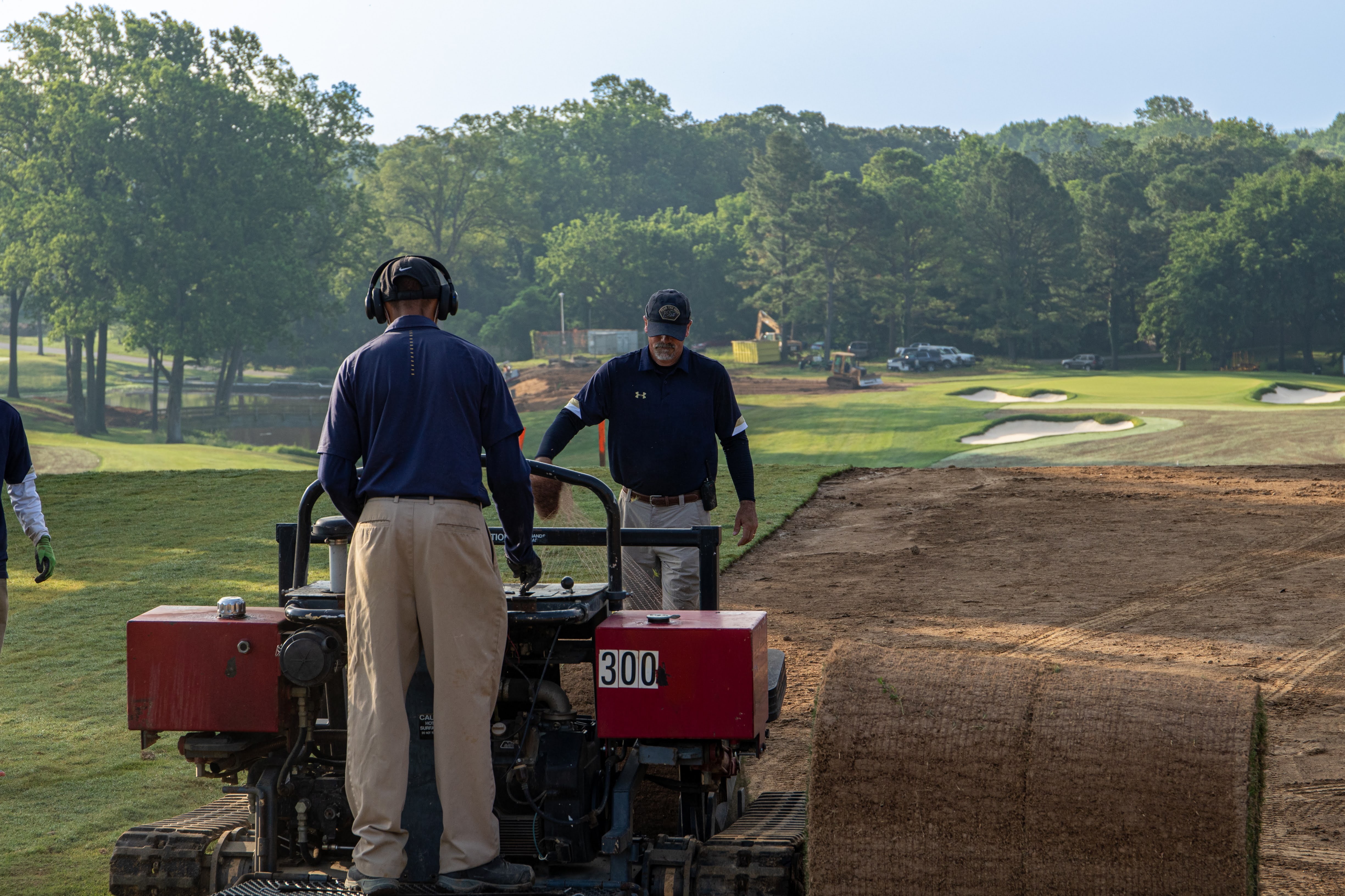 golf course turfgrass