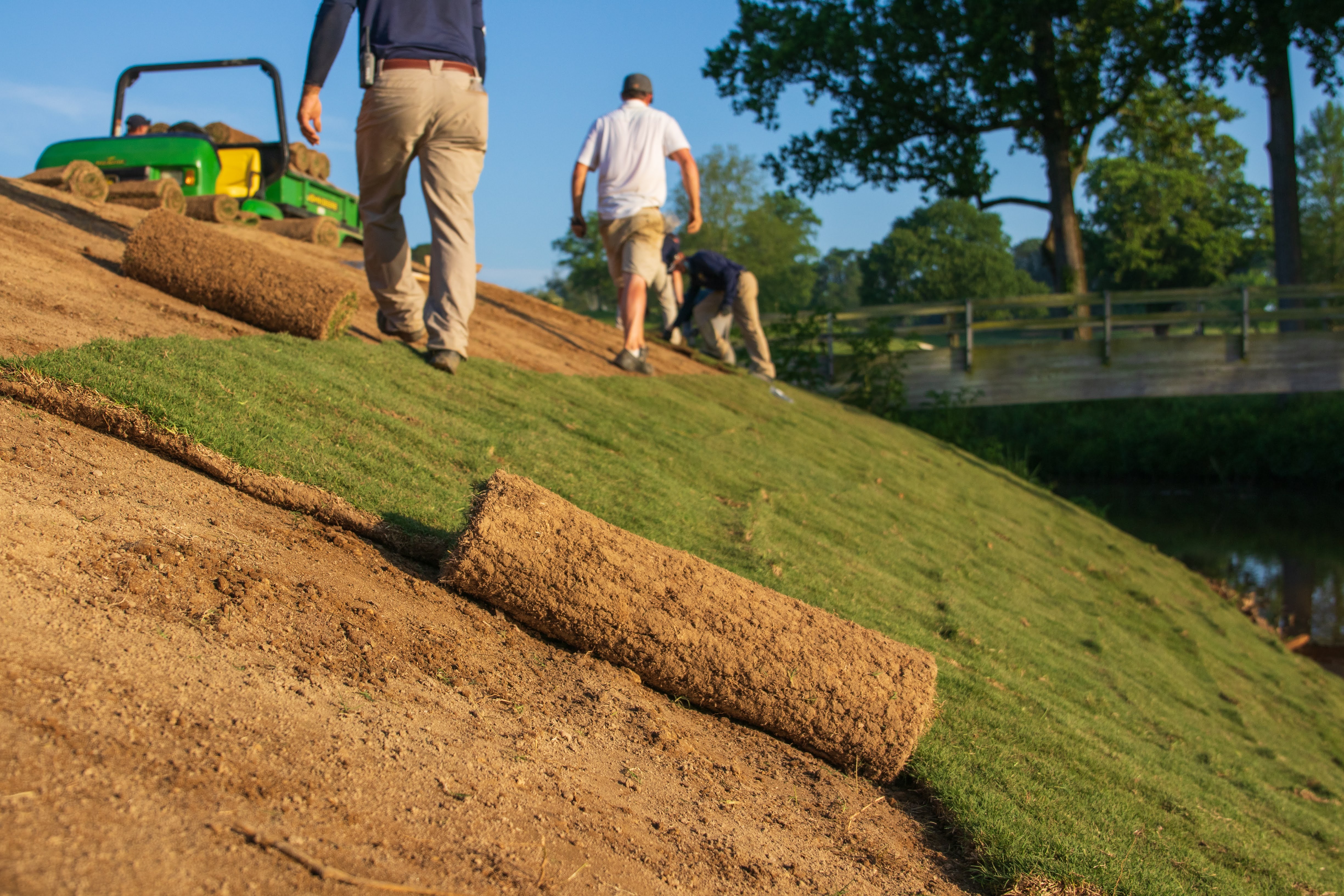 central sod golf sod