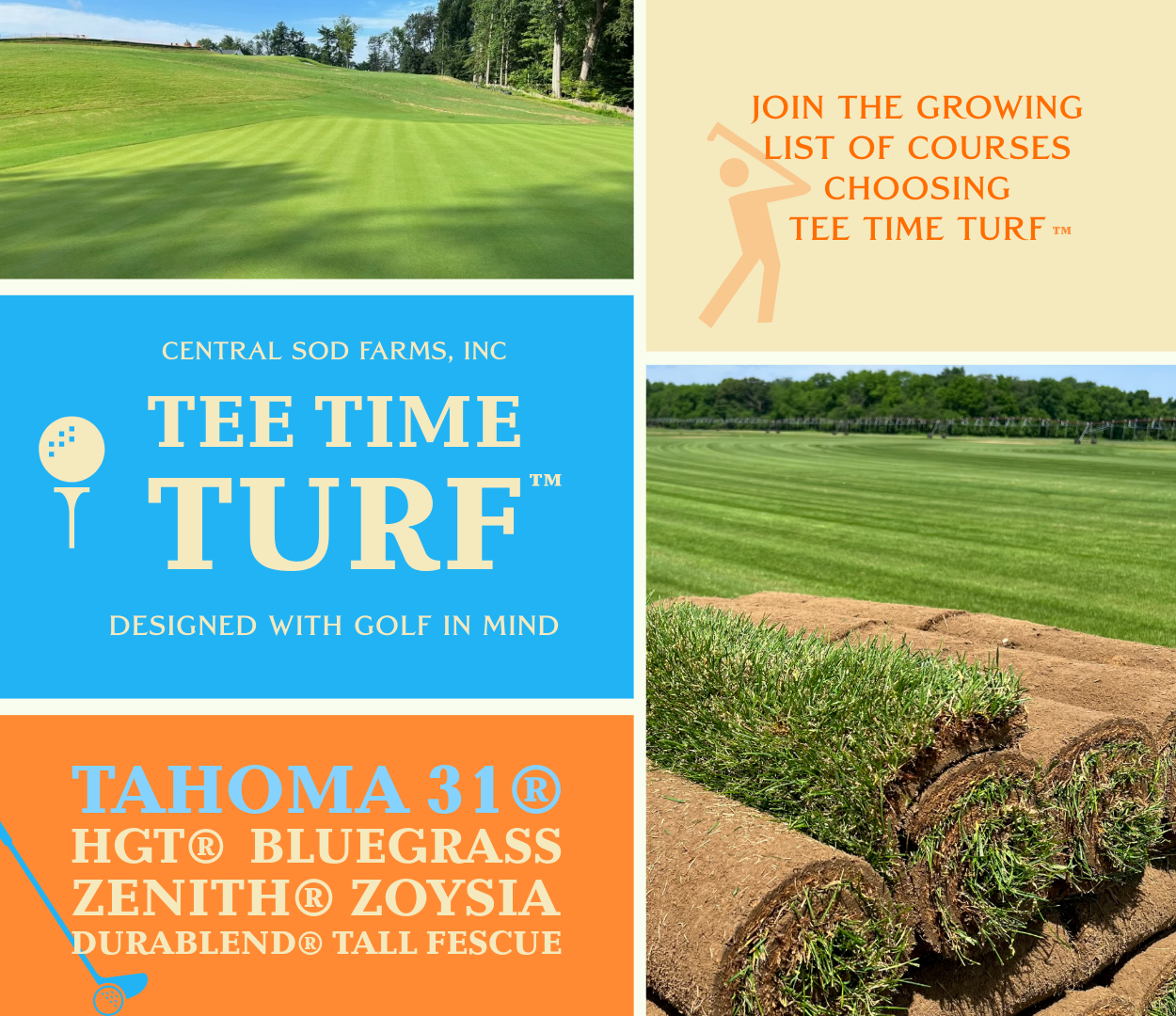tee time turf
