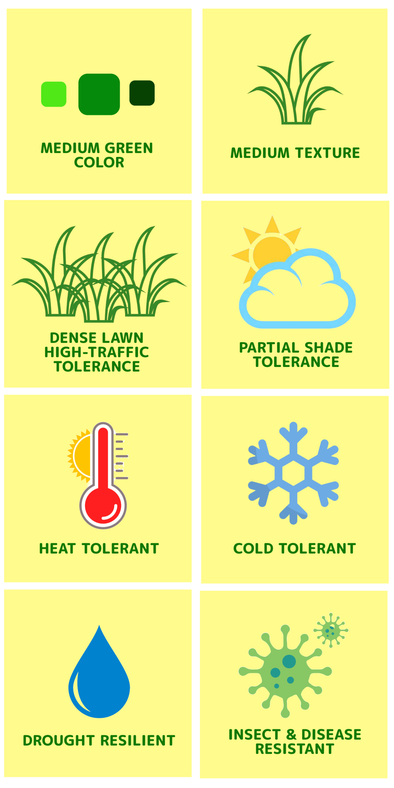 ZENITH ZOYSIA INFOGRAPHIC