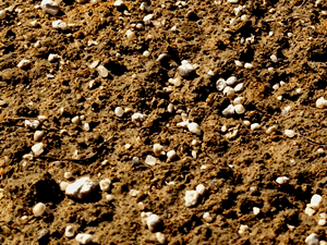 close up of fertilizer on soil
