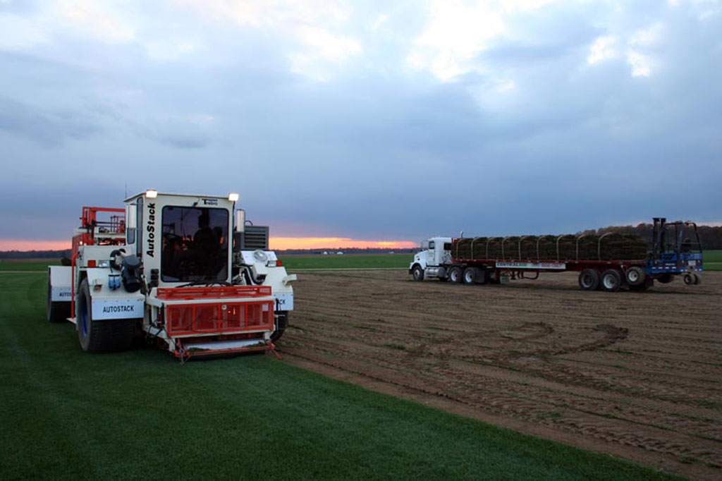 Harvesting sod