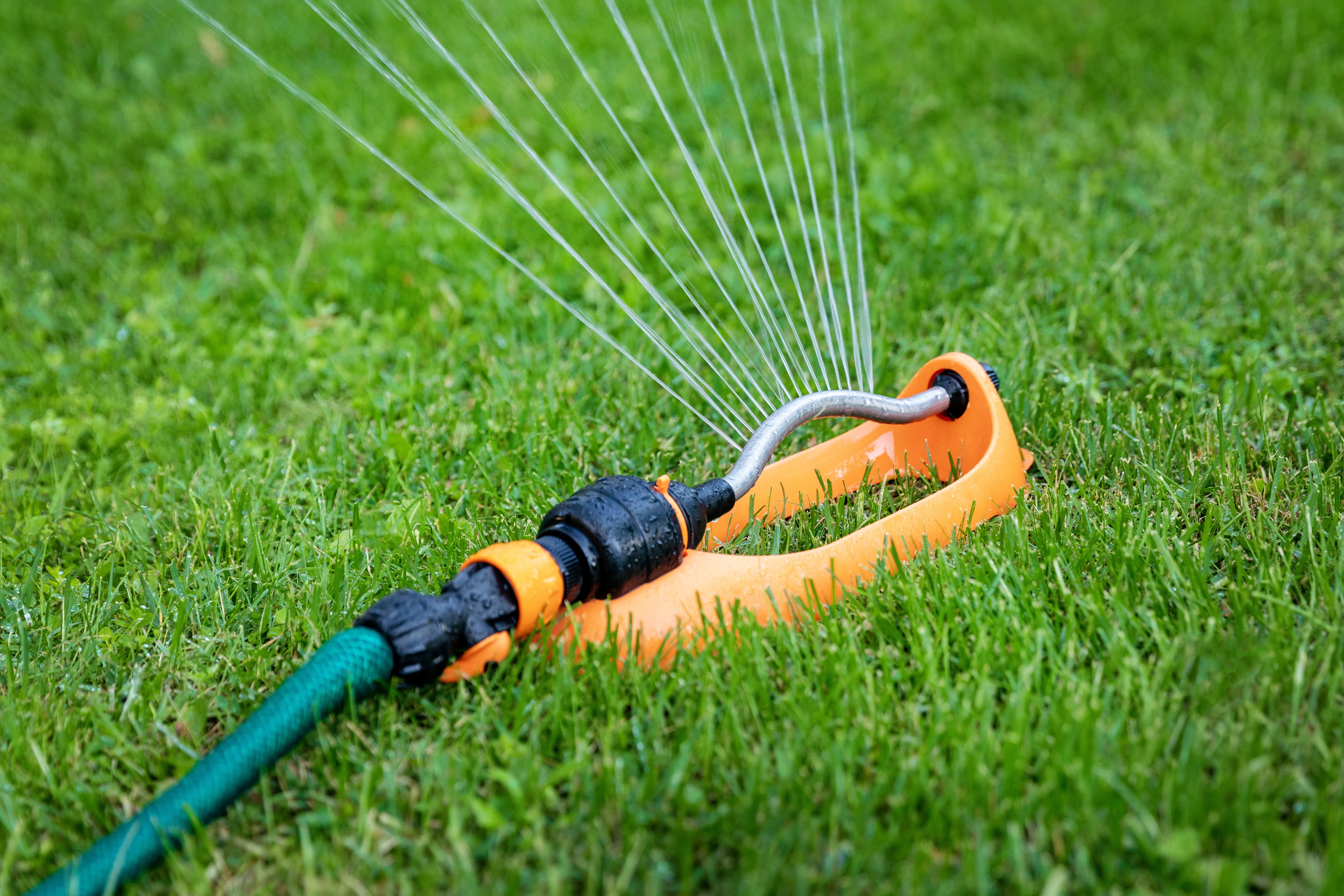 sprinkler on in grass