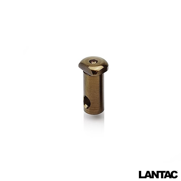 Lantac CP-R360™ Cam Pin