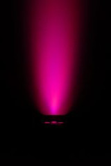 Chauvet DJ Freedom Par Tri-6 Wireless LED Parcan