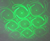 Shezam M.O.S Laser 190MW RED GREEN Laser,  LED Blue