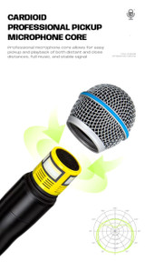 X-DUOMIC  2 Microphone Handheld True Diversity 200 meters anti-howling FBX wireless KTV microphone