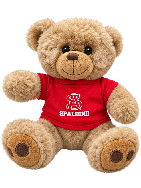 Brown Teddy Bear