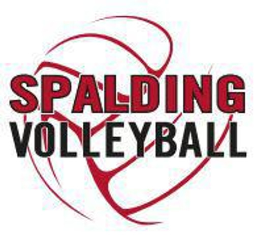 UA Volleyball Tee LG
