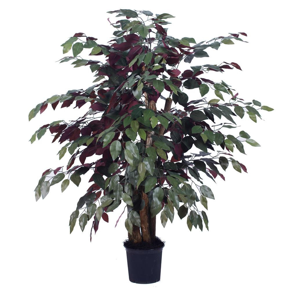 Vickerman Capensia Bush - Thumbnail 5