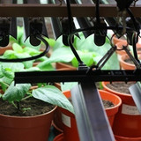 Commercial Grow Lights