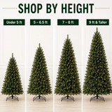 Shop Christmas Trees by Height