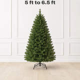 5 – 6.5 ft