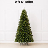 9 ft & Taller