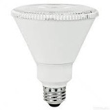 LED PAR30 Bulbs