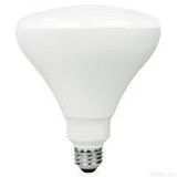 LED BR40 Bulbs