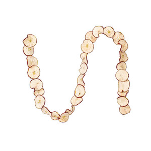 Vickerman H1APG000 - 10 ft Cream Apple Christmas Garland - Unlit 