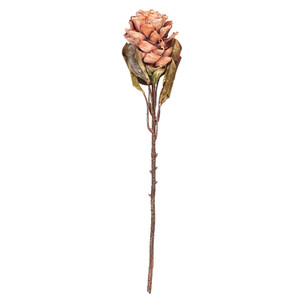 Vickerman FMA230218 - 22 in. Light Orange Dried Ginger Stem Artificial Spray - 3 Pack 