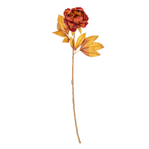Vickerman FR235876 - 21 in. Dark Brown Peony Stem Artificial Spray - 6 Pack 