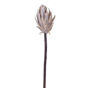 Vickerman FXT235315 - 22 in. Cream/Purple Protea Stem Artificial Spray - 2 Pack