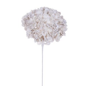 Vickerman QG241201 - 24 in. Cream Frosted Hydrangea Flower Artificial Spray 