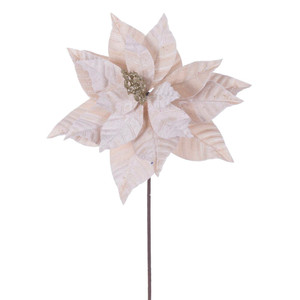 Vickerman RG232738 - 21.5 in. Champagne Poinsettia Flower Artificial Spray - 6 Pack 