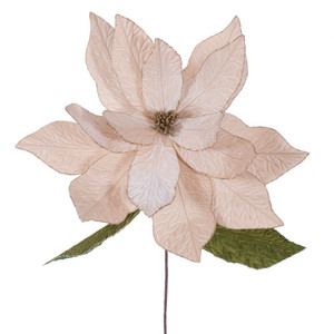 Vickerman RG237738 - 27.5 in. Champagne Poinsettia Flower Artificial Spray - 2 Pack 