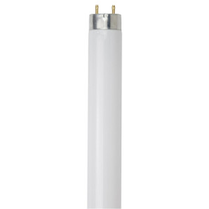 Sunlite 30128-SU F17T8 17W - 2 Foot T8 Fluorescent Lamp - 6500K