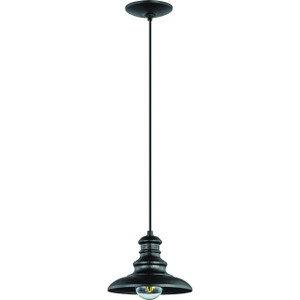 Volume Lighting V8352-5 - Black Outdoor Farmhouse Pendant