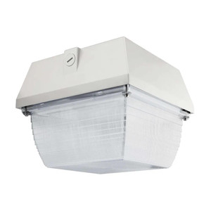  NaturaLED 7538 Traditional Canopy Light 