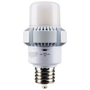 Satco S13163 35W/AP28/LED/CCT/100-277V/EX39
