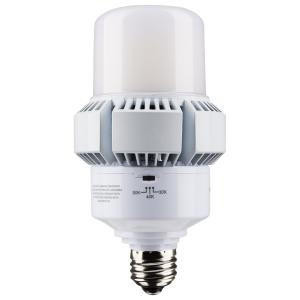 Satco S13164 45W/AP32/LED/CCT/100-277V/E26