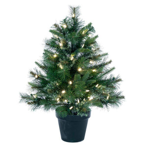 Vickerman A118225LED 24" x 21" Cashmere Pine LED 50WW
