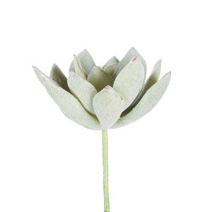 Vickerman FE170601-6 4" Echeveria Pick 6/pk 