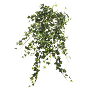 Vickerman FB170901 26" Mini Vari. Ivy Hanging Bush-Green 
