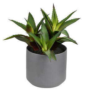 Vickerman FH191010 10" Green Potted Aloe 