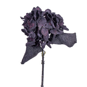 Vickerman FM224016 - 13 in. Plum Hydrangea Artificial Spray - 6 Pack