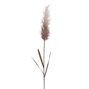 Vickerman FM224746 - 44 in. Cream Glitter Reed Artificial Spray - 2 Pack
