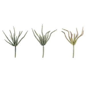 Vickerman FV193510 10.5" Green Haworthia Spray Asst 6/pk 