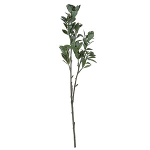 Vickerman FV193720 - 20 in. Green White Aglaia Artificial Spray - 6 Pack