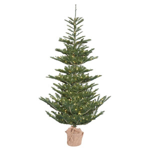 Vickerman G160251LED - 5 ft Alberta Spruce Prelit Warm White LED Christmas Tree