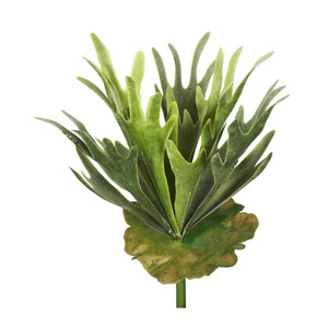  Vickerman FA170301 13" Staghorn Fern Bush Frosted-Green 