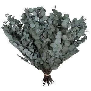 Vickerman H1ESP150-1 18-20"x9" Eucalyptus Spiral Green 1Lb Bu 