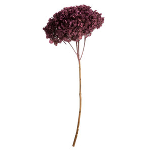  Vickerman H1HYD580 15" Purple Orchid Hydrangea Stem 
