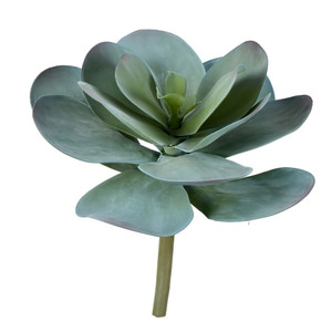 Vickerman FH190612 12" Blue Succulent Stem 