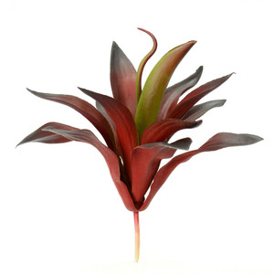 Vickerman FO180701 9.5" Purple/Red Aloe Vera Pick 3/Pk 