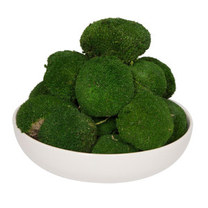  Vickerman H4POM115 Apple Green Pole Moss 1 lb 