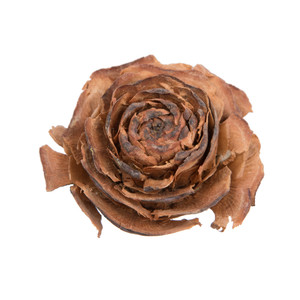 Vickerman H7CERL000 1.3"-1.8" Cedar Rose 100/pk 