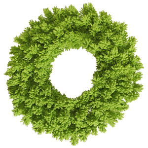 Vickerman K168636 - 36" Flocked Lime Fir Wreath